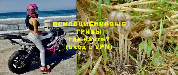 дурь Арсеньев
