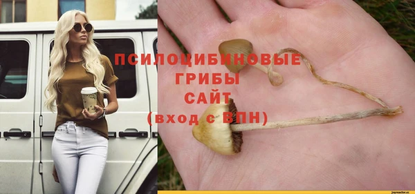дурь Арсеньев