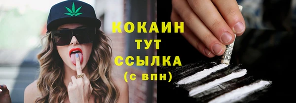 дурь Арсеньев
