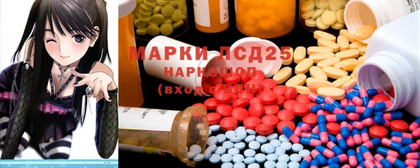 винт Аркадак