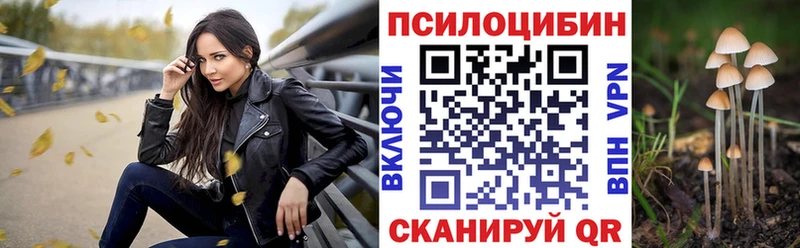 Галлюциногенные грибы Psilocybe  Кирово-Чепецк 